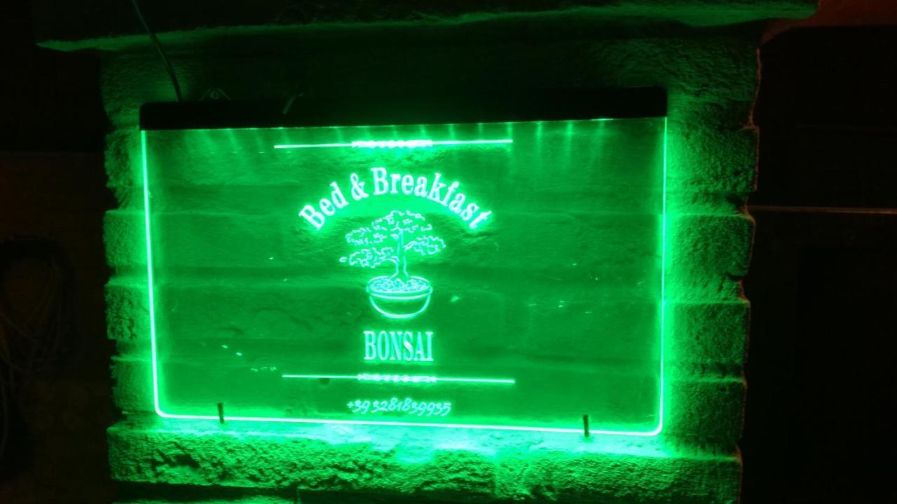 Bonsai Bed & Breakfast Fiumicino Bilik gambar